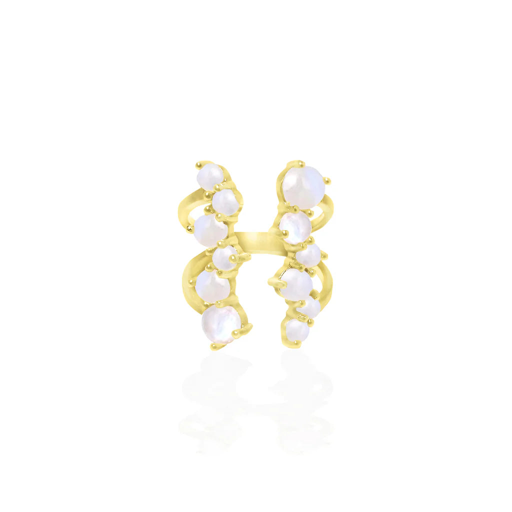 Via Lactea Ring