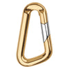 Stainless Steel Black Hinge Chain with 14kt Gold Carabiner Charm Holder